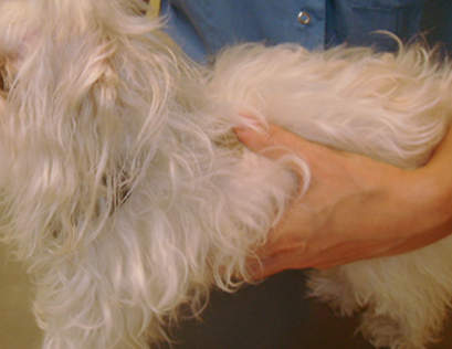 despues del tratamiento